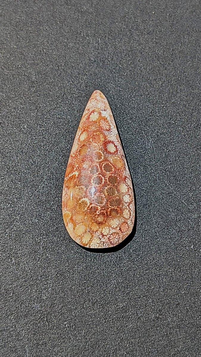 Red Fossilised Coral Cabochon stone detail - view 2 of 4 by Loutan Beauty