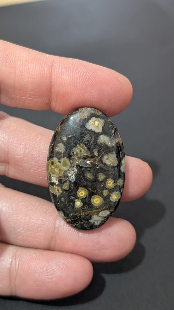Ocean Jasper