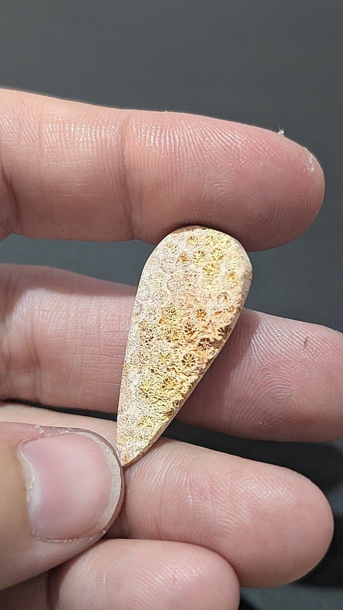 Red Fossilised Coral Cabochon stone detail - view 3 of 4 by Loutan Beauty