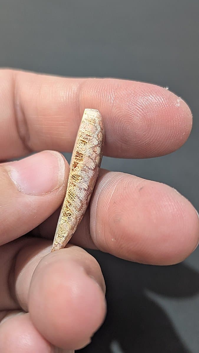 Red Fossilised Coral Cabochon stone detail - view 4 of 4 by Loutan Beauty