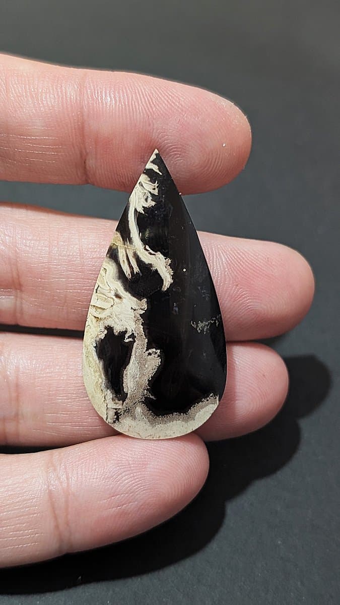 Fossilised Palm Root Cabochon